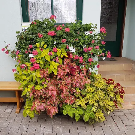 Weingut Familie Bauer Πανσιόν Grossriedenthal