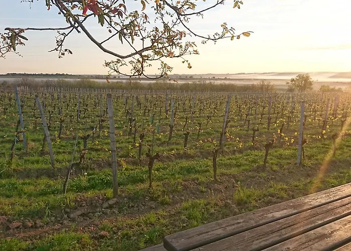 Gasthof Weingut Familie Bauer Grossriedenthal